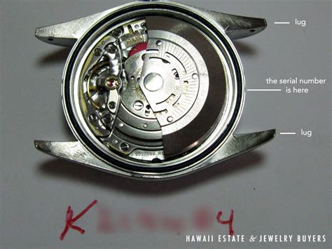 rolex sea-dweller movement serial numbers|2002 Rolex watch serial numbers.